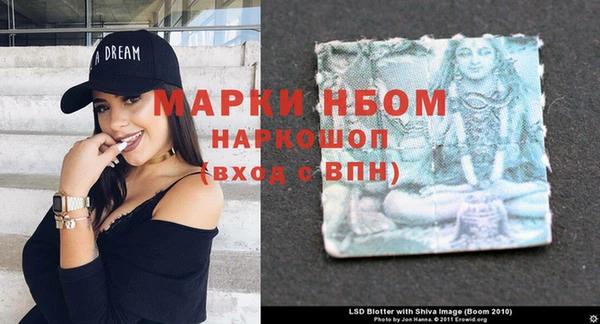 ГАЛЛЮЦИНОГЕННЫЕ ГРИБЫ Ахтубинск