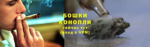spice Абаза