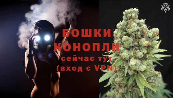 spice Абаза