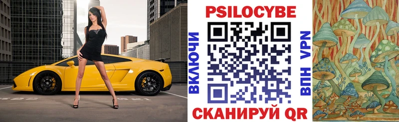 закладка  Янаул  Псилоцибиновые грибы ЛСД 