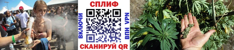 Бошки марихуана SATIVA & INDICA  цены   OMG маркетплейс  Янаул 